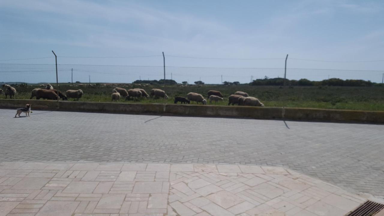 Abrigo Das Nortadas Vila do Bispo Zewnętrze zdjęcie